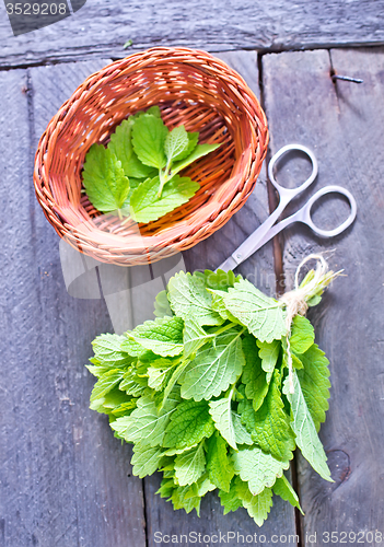 Image of fresh mint leaf 