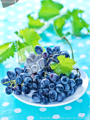 Image of Grape