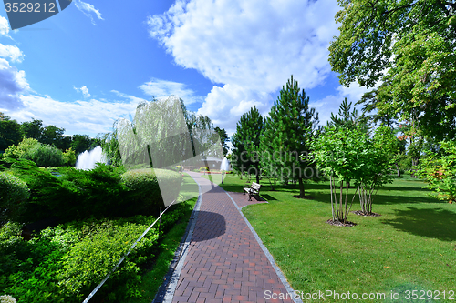 Image of green park