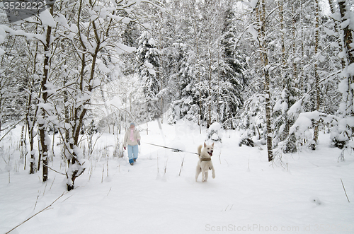 Image of The woman with a dog on walk in a winter wood