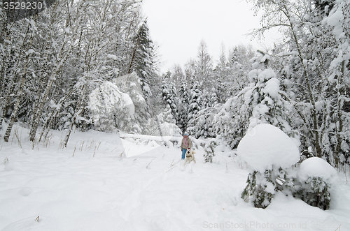 Image of The woman with a dog on walk in a winter wood
