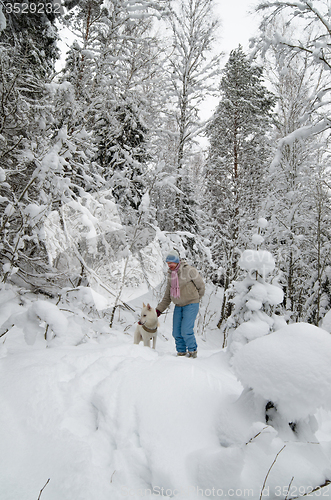 Image of The woman with a dog on walk in a winter wood