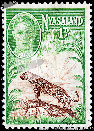 Image of Leopard Stamp