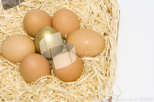 Image of Eggs in one basket