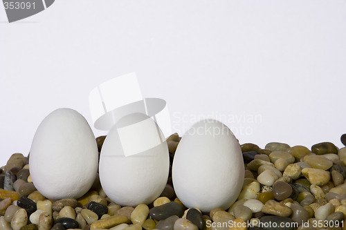 Image of Three White Eggs