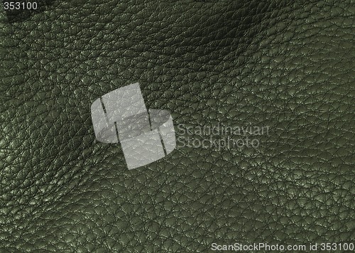 Image of Black leather