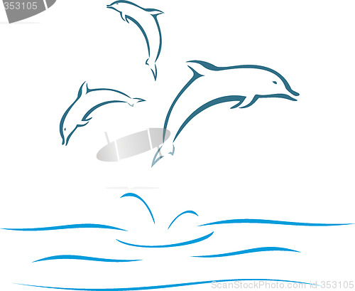 Image of Dolphins