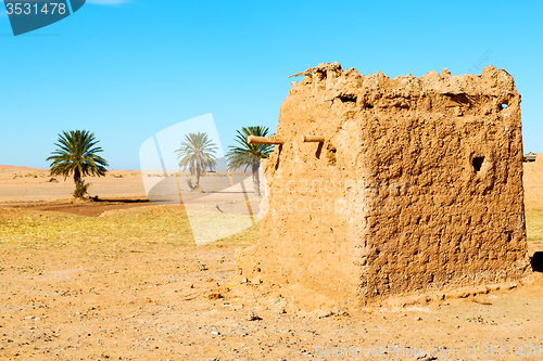 Image of sahara      africa in morocco  palm the old l village 