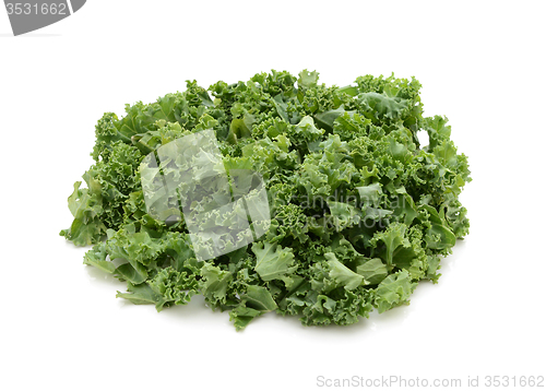 Image of Chopped kale