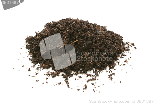 Image of Compost, soil or dirt