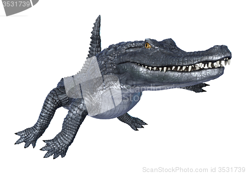 Image of Caiman