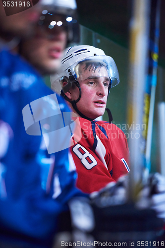 Image of ice hockey players on bench