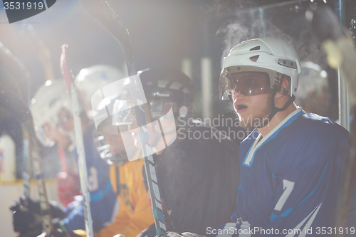 Image of ice hockey player portrait