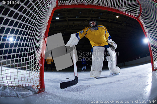 Image of ice hockey goalkeeper