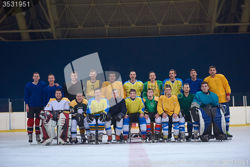 Image of ice hockey players team portrait