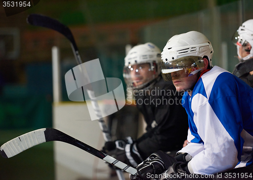 Image of ice hockey players on bench