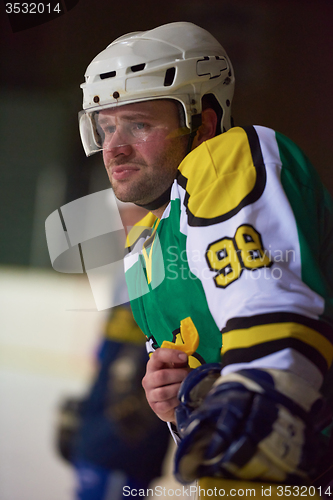 Image of ice hockey players on bench