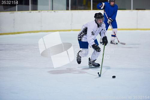 Image of ice hockey sport players