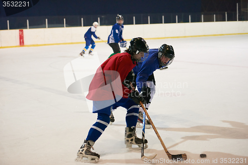 Image of ice hockey sport players