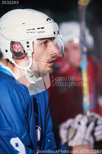 Image of ice hockey players on bench