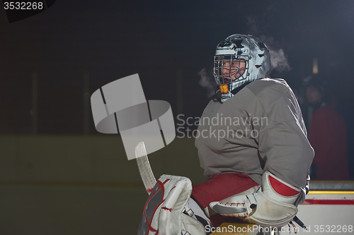 Image of ice hockey players on bench