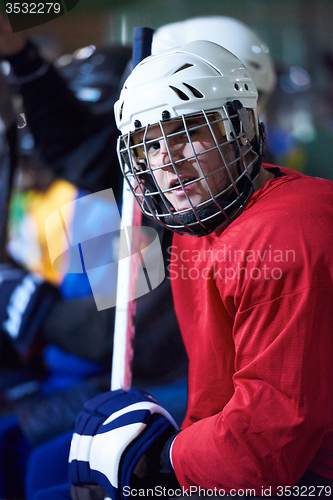 Image of ice hockey players on bench