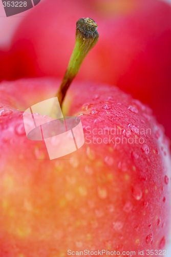 Image of Red apples macro