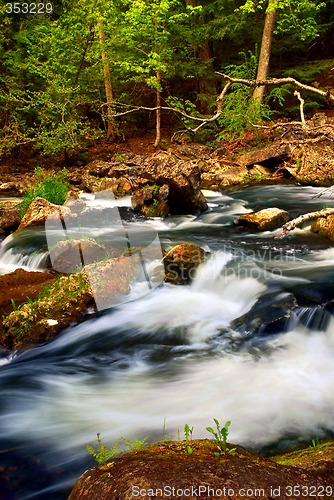 Image of River rapids