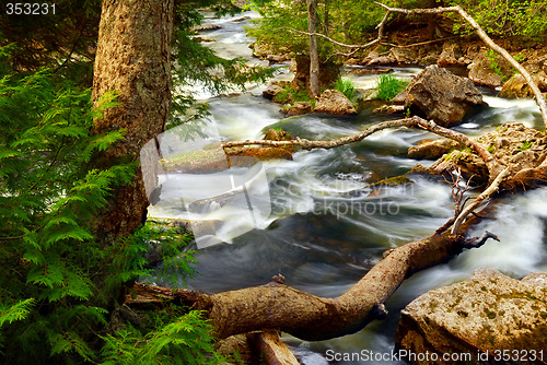 Image of River rapids