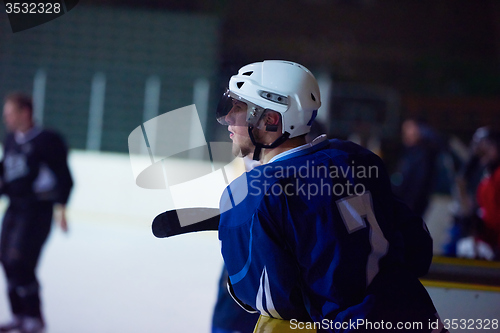 Image of ice hockey players on bench