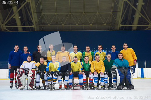 Image of ice hockey players team portrait