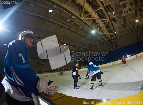 Image of ice hockey players on bench