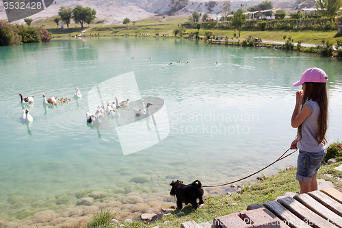 Image of Little girl with her dog are watching at floating geese