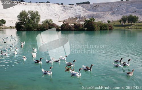 Image of Lake in Pamukkale, Turkey