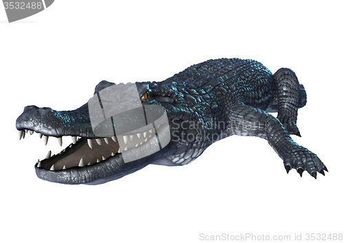 Image of Caiman
