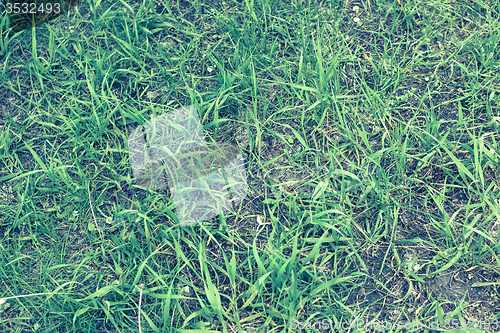 Image of Green grass and earth view from above