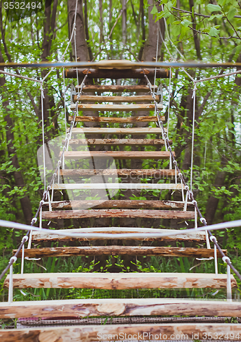 Image of Wooden stairs in the green forest park