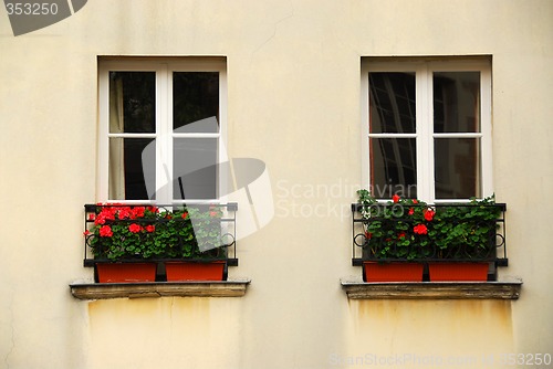 Image of Windows with planters