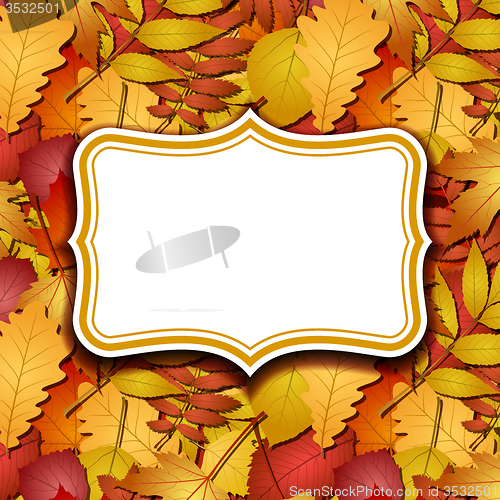 Image of Frame labels on background with autumn leaves.