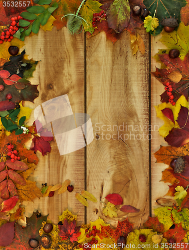 Image of Autumn Leafs and Yield