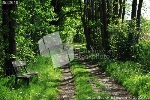 Image of bench in the green park 