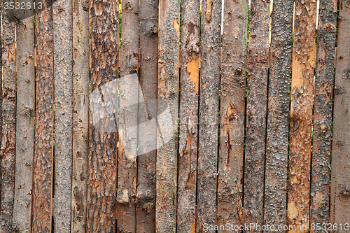 Image of wooden bark background