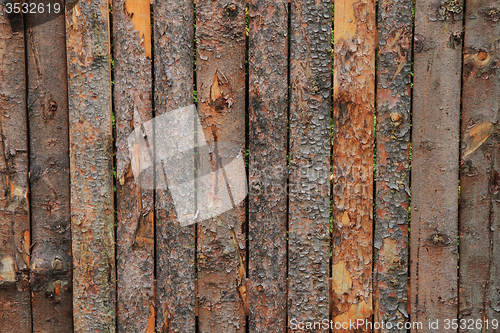 Image of wooden bark background