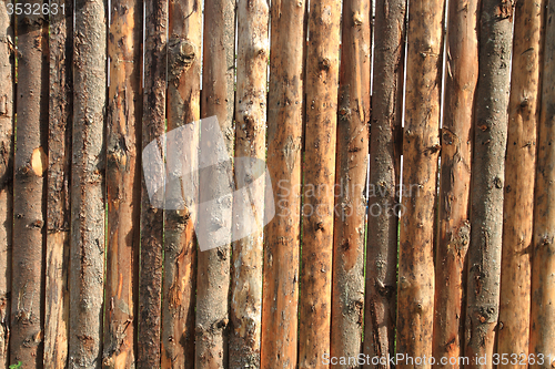 Image of wooden bark background