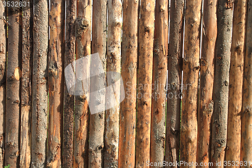 Image of wooden bark background