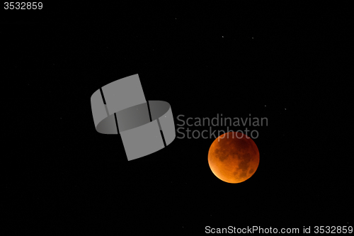 Image of Bloody Moon