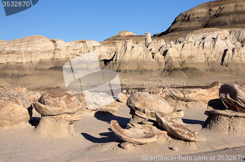 Image of Bisti Badlands, New Mexico, USA