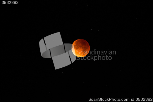 Image of Bloody Moon