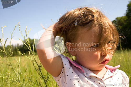 Image of Windy Field