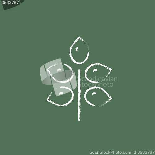 Image of Branch with leaves icon drawn in chalk.